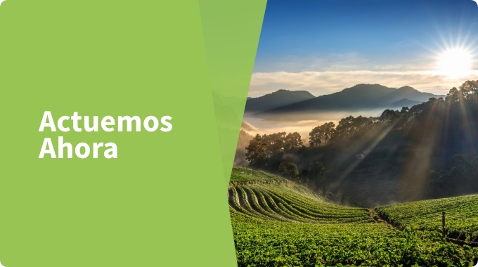 Informes e Indicadores